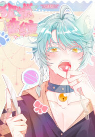 Cover 43700