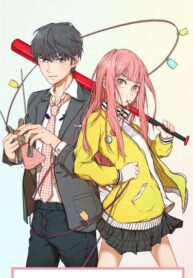 Cover 43712