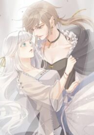 Cover 43726