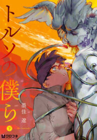 Cover 43732