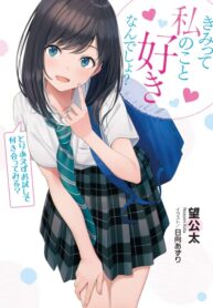 Cover 43740