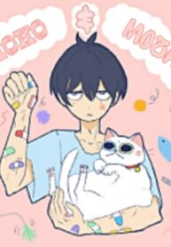 Cover 43752