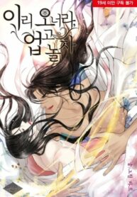 Cover 43780