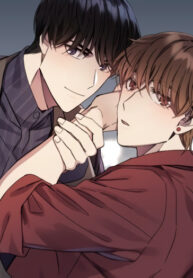 Cover 43782