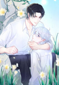 Cover 43794