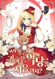 Cover 43806