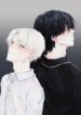 Cover 43862