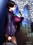 Cover 43916