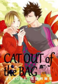 Cover 43930
