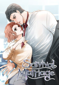 Cover 44017