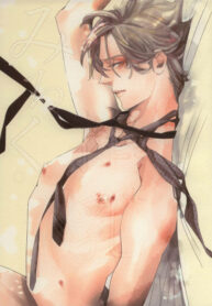 Cover 44117