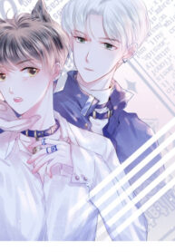 Cover 44149