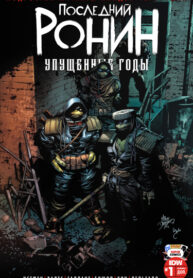 Cover 44217