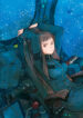 Cover 44295