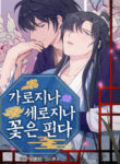 Cover 44311