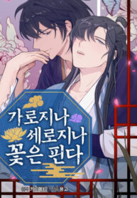 Cover 44311