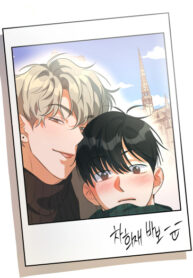 Cover 44312