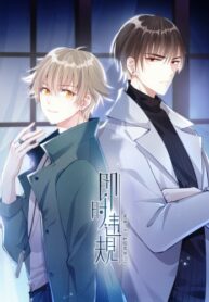 Cover 44355