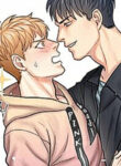 Cover 44514