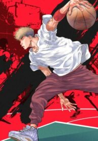 Cover 44529