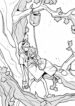 Cover 44555