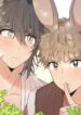 Cover 44684