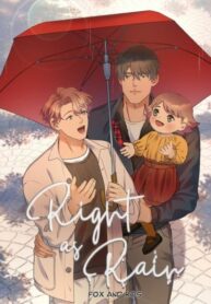 Cover 44686