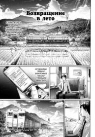 Cover 44704