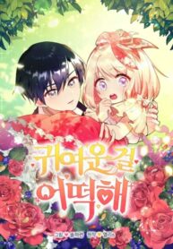 Cover 44716