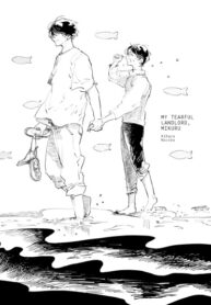 Cover 44728