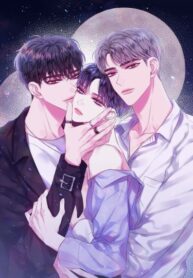 Cover 44740
