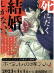 Cover 44927