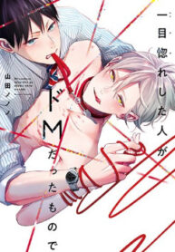 Cover 44933