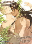Cover 44934