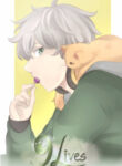 Cover 44981