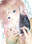 Cover 45011