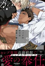 Cover 45013