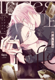 Cover 45015