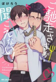Cover 45017