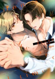 Cover 45021