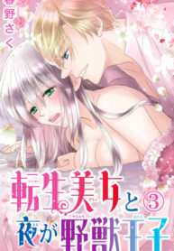 Cover 45041