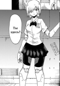 Cover 45056