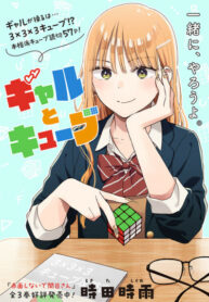 Cover 45061