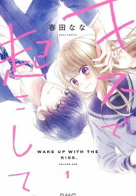 Cover 45133