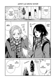 Cover 45135