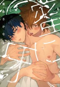 Cover 45145