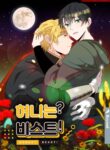 Cover 45146