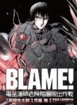 Cover 45197