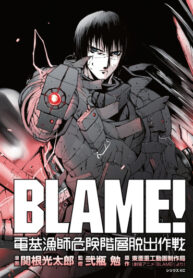 Cover 45197
