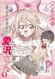 Cover 45313